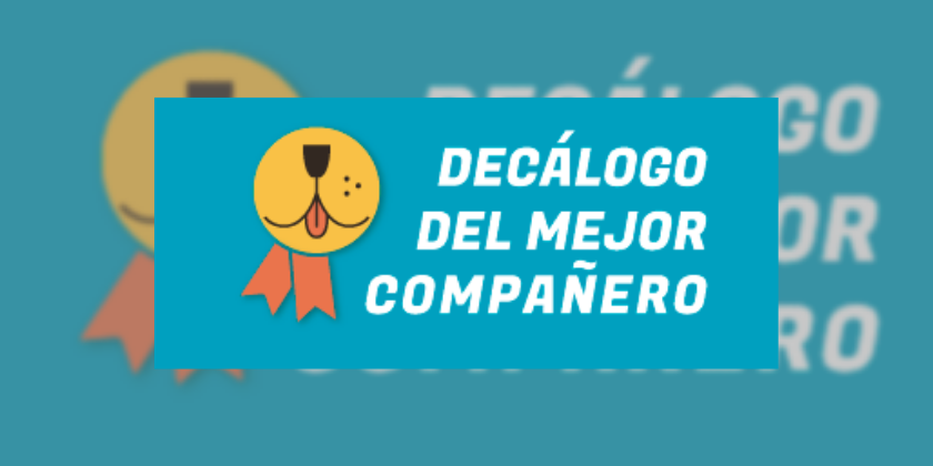 Decálogo del Mejor Compañero