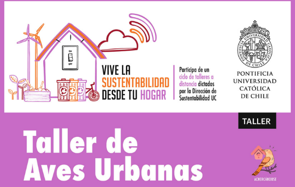 Taller Vive la sustentabilidad desde tu hogar: Aves urbanas