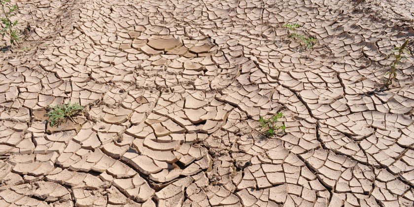 Columna de opinión: Superando juntos las sequías