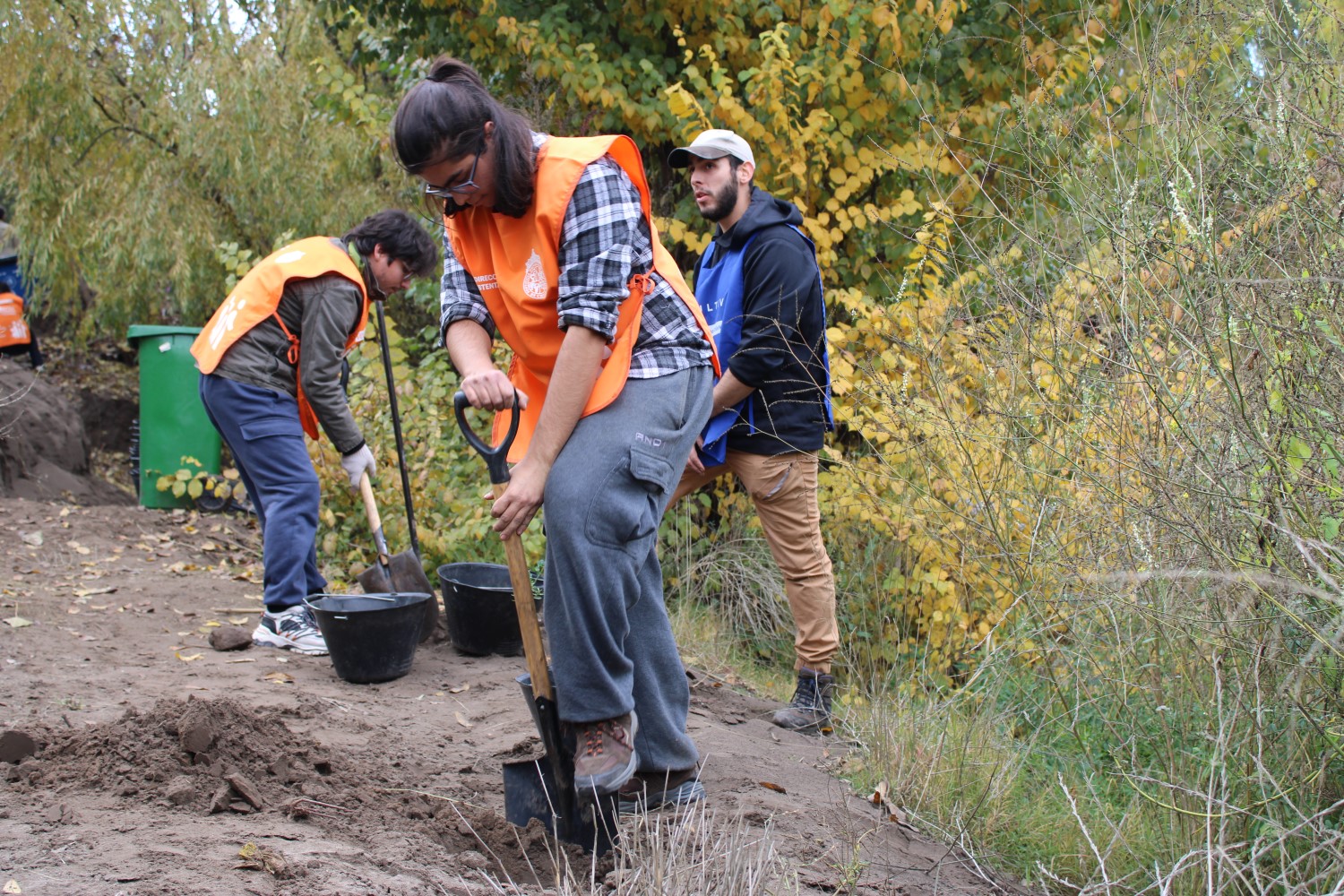 Reforestación ribera río Mapocho 2024