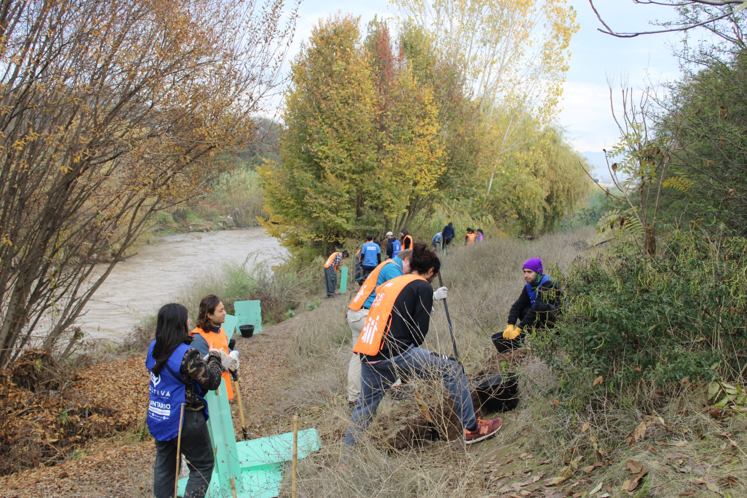 Estudiantes UC se comprometen con la acción climática en una reforestación de la ribera del río Mapocho 
