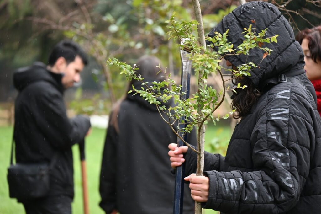 Trece tipos de especies nativas fueron parte de esta forestación comunitaria organizada por la Pontificia Universidad Católica de Chile y la Ilustre Municipalidad de Temuco. Una jornada que tuvo como objetivo contribuir a la rehabilitación de la infraestructura verde del Parque Urbano Isla Cautín post temporales y continuar con la promoción del cuidado de la biodiversidad y la acción climática.