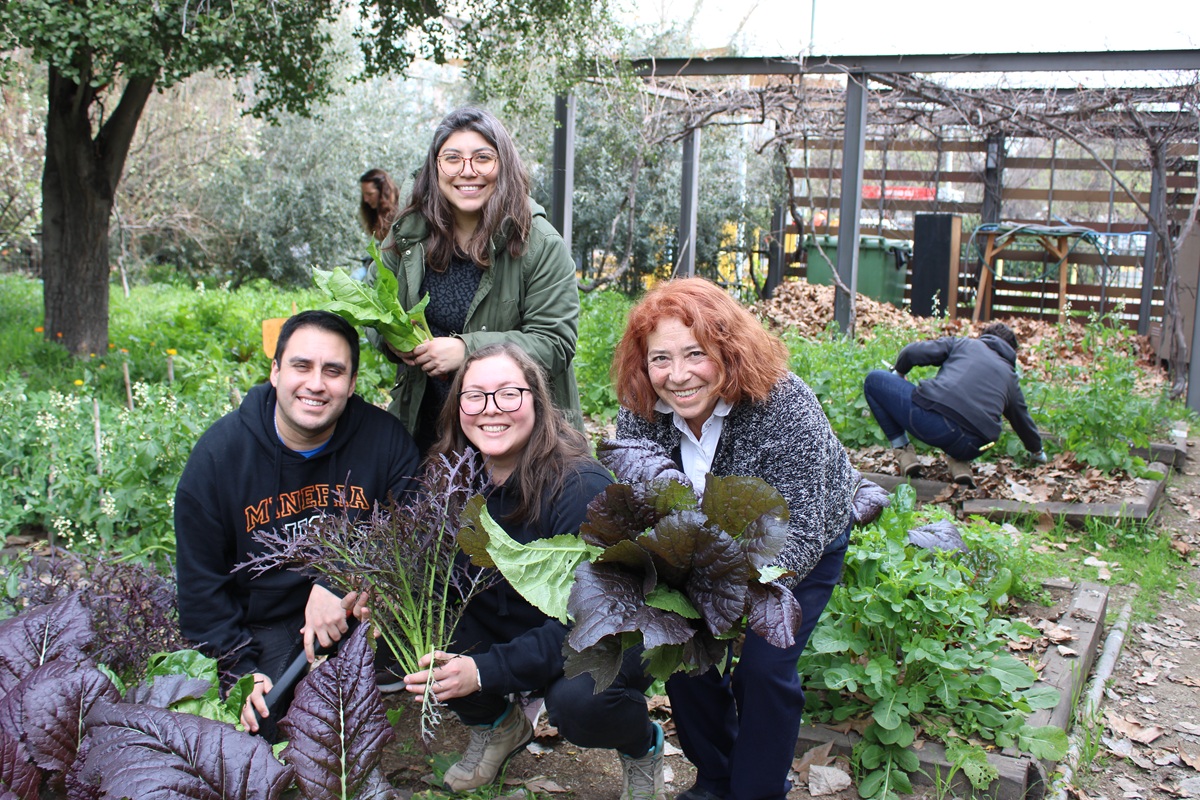 Cosecha comunitaria otoño invierno Huerto San Francisco