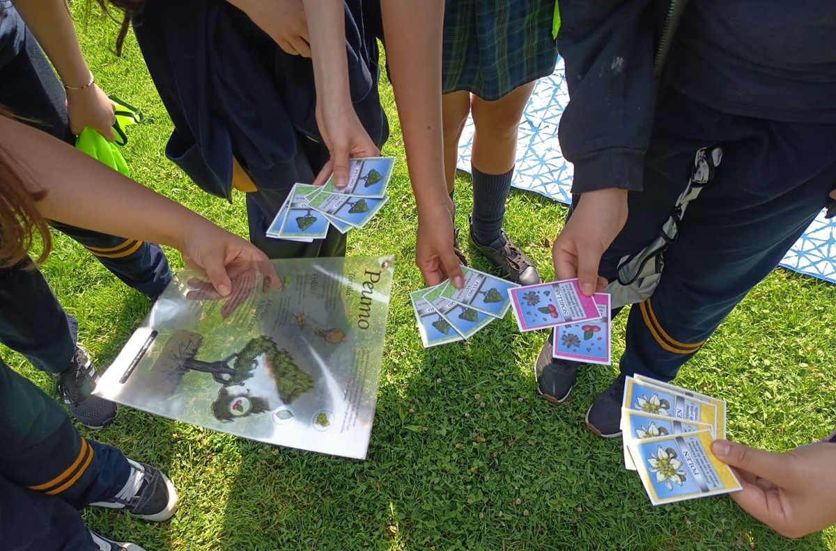 Sustentabilidad desde la infancia: cierre del segundo ciclo PEMI