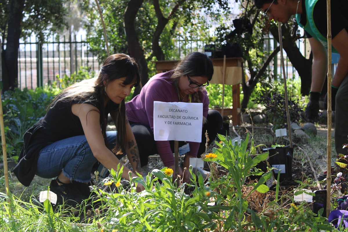 El Huerto San Francisco UC celebra diez años conectando naturaleza y vida universitaria