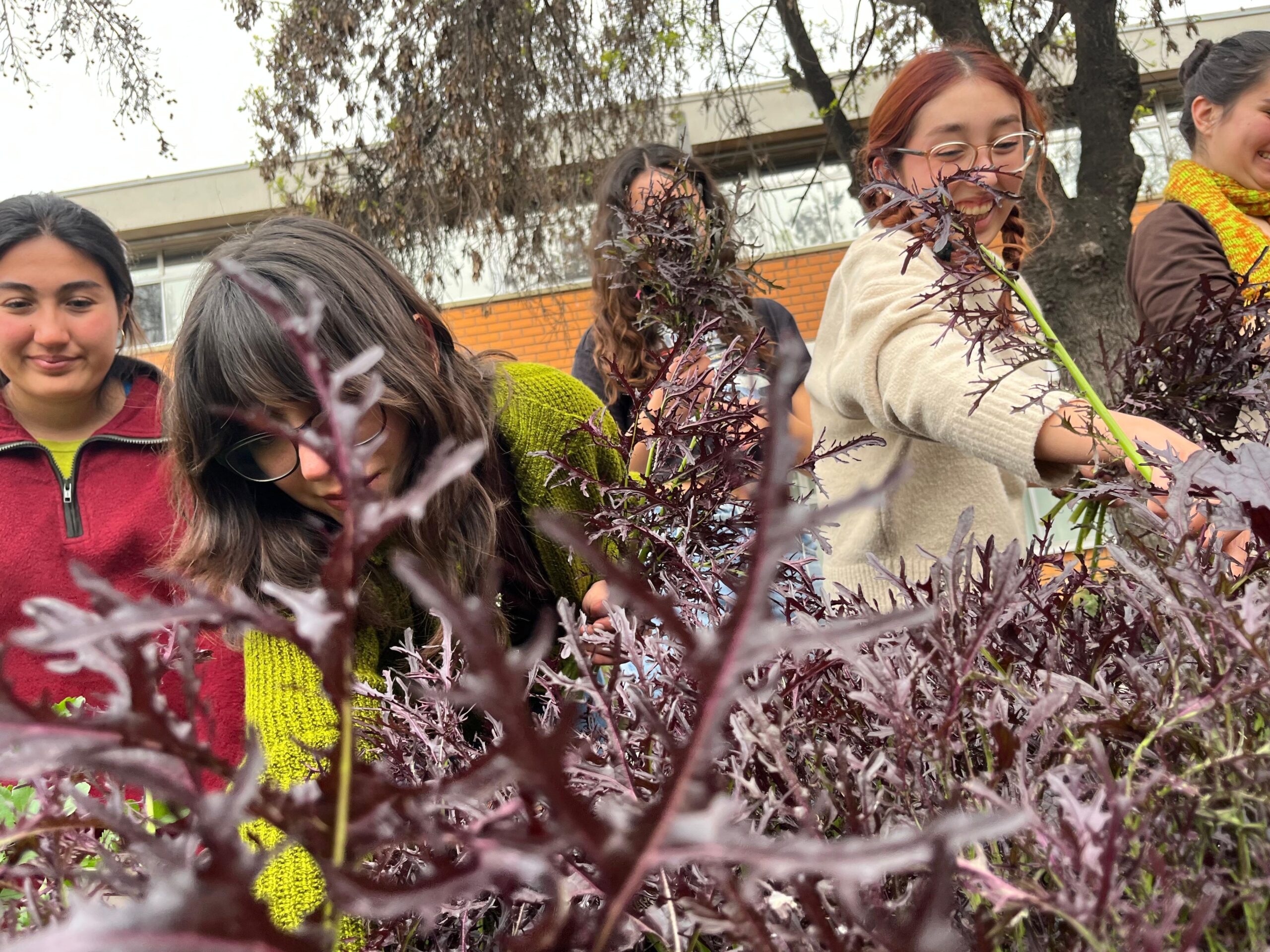 Organizaciones estudiantiles que siembran sustentabilidad en la UC