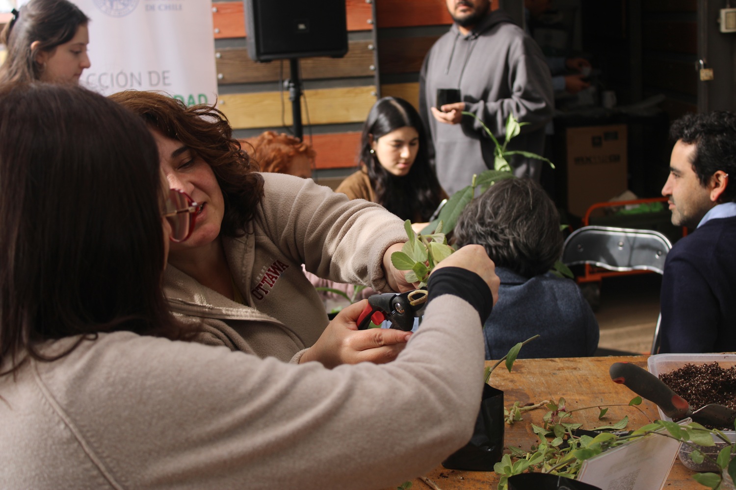 Talleres en el Huerto San Francisco: Propagación de plantas ornamentales de interior